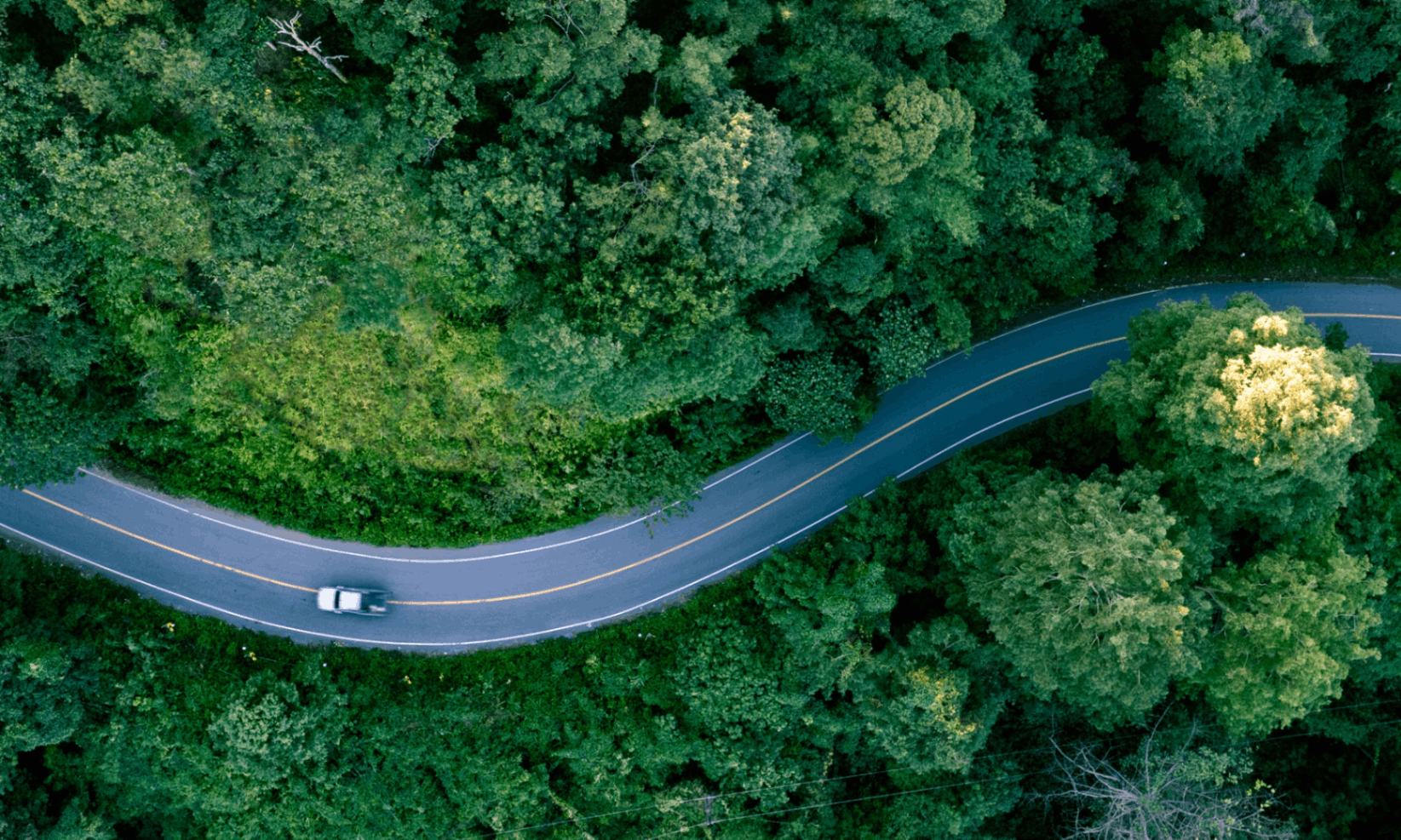 arial shot of electric vehicle driving through woodland