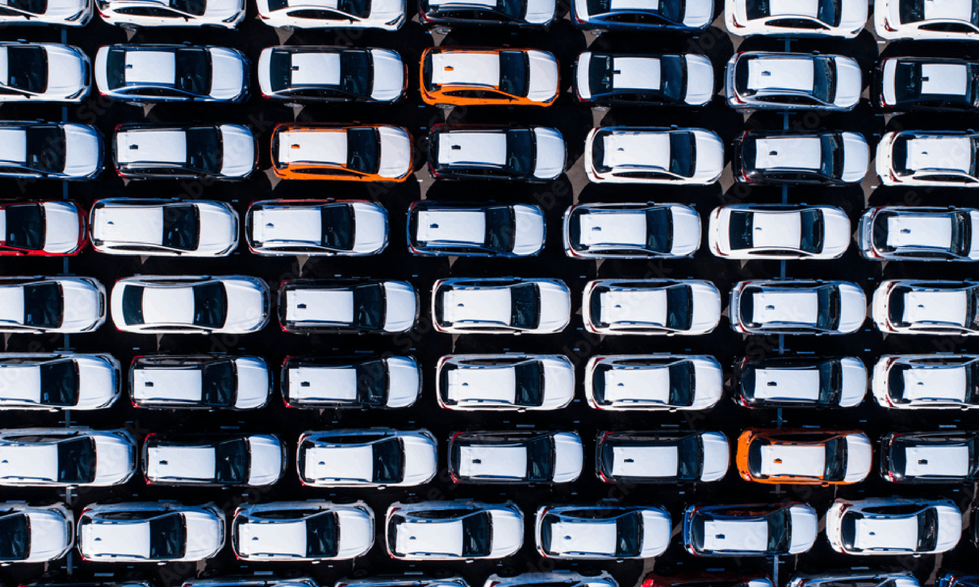 rows of white cars